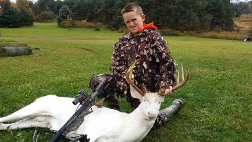 Criança com 11 anos caça um raro veado albino