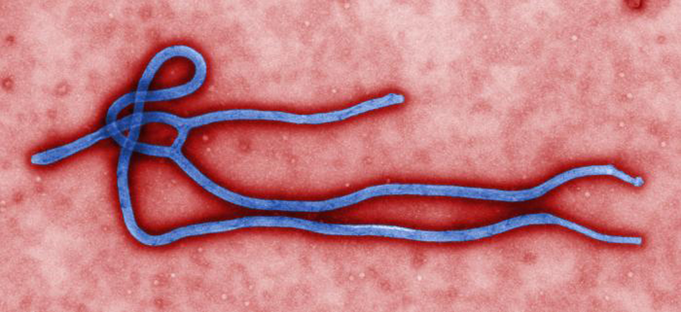 Médica norueguesa infectada com ébola