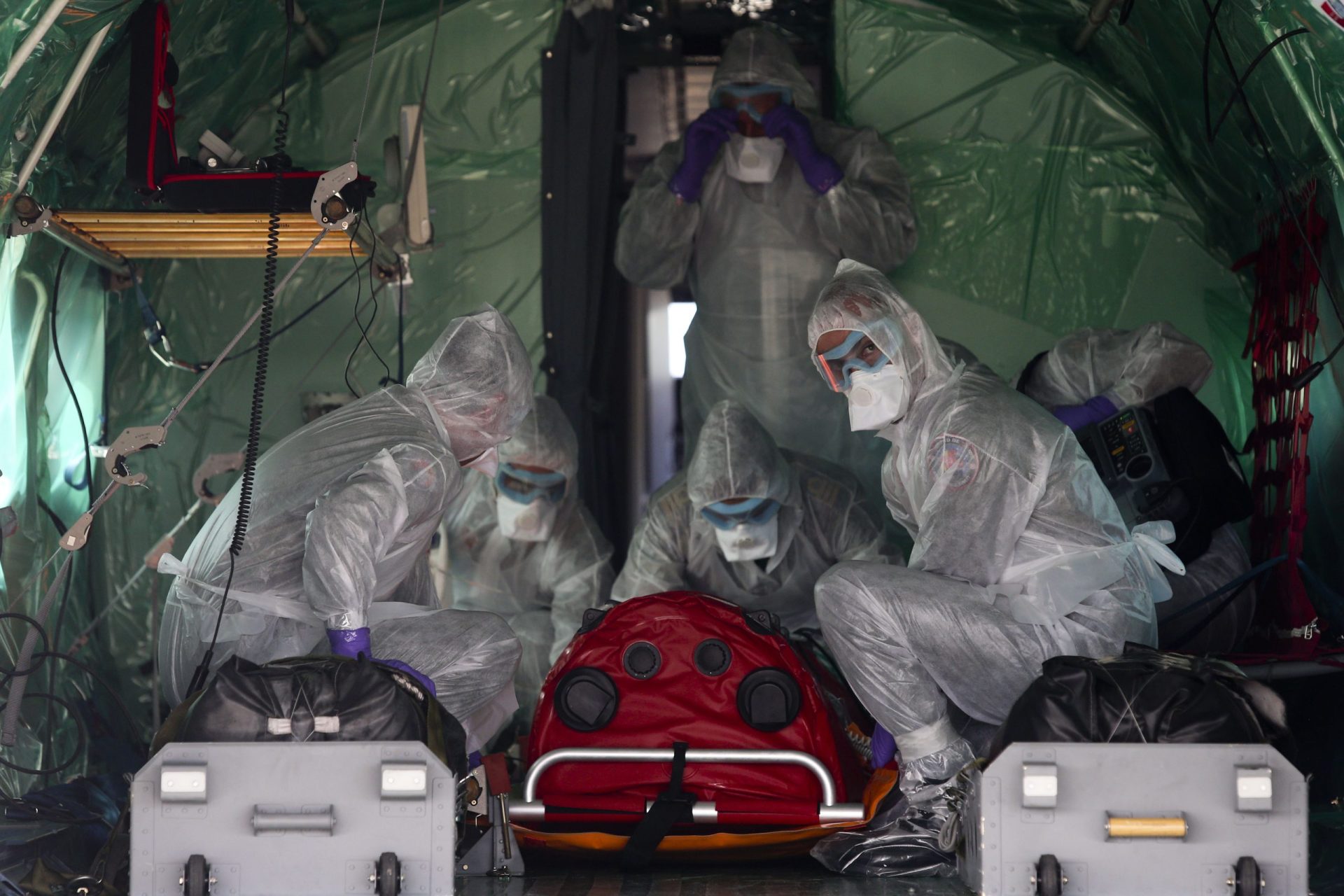Ébola: Infecção é comum a animais e seres humanos