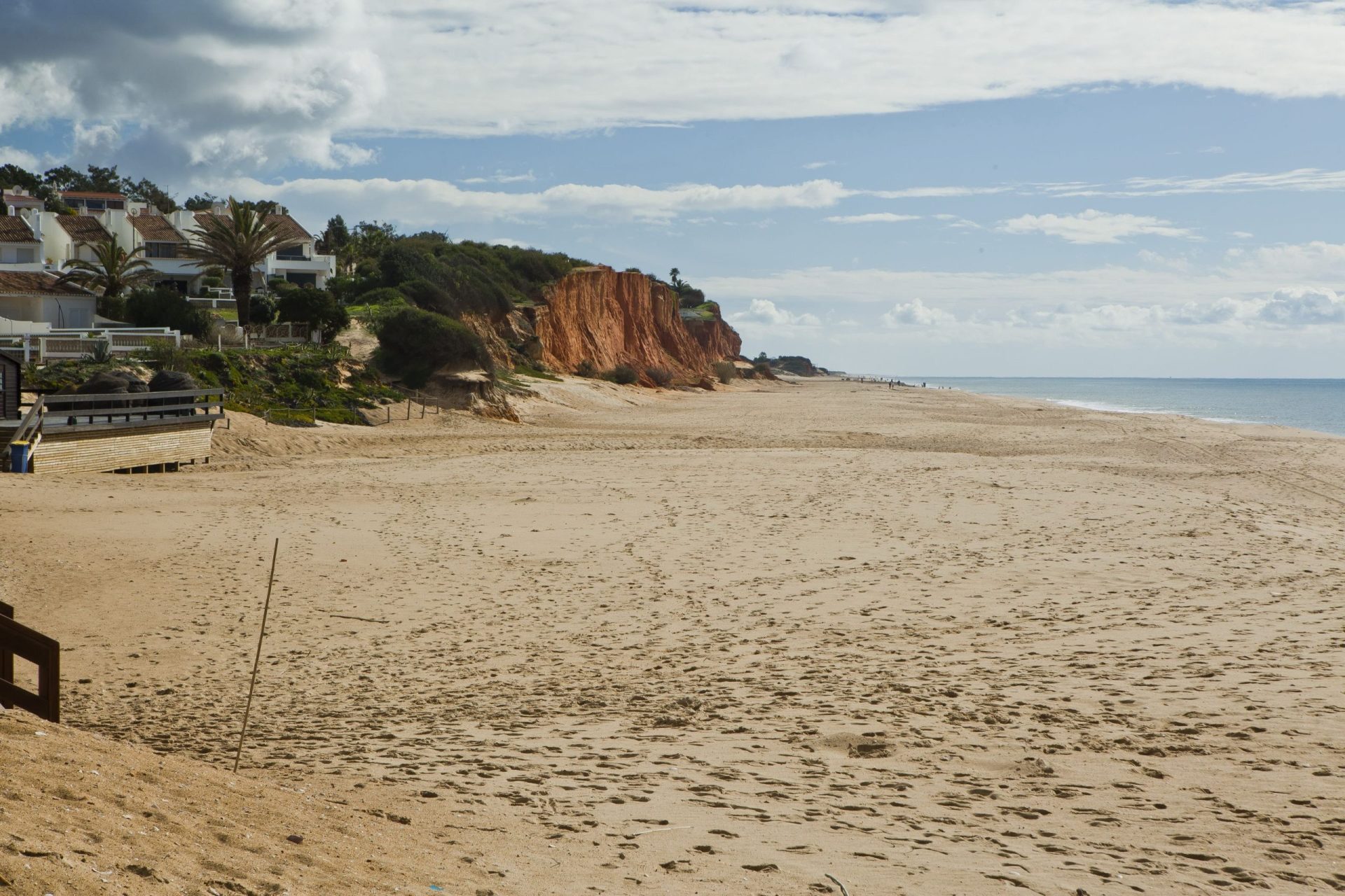 Baleia com 4 metros dá à costa no Algarve