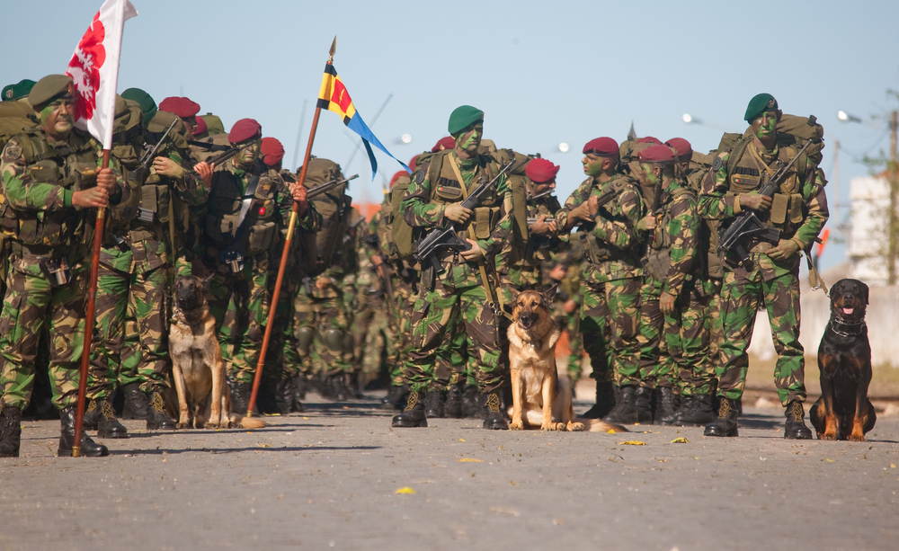 PSD questiona Governo sobre fim da presença militar no Algarve