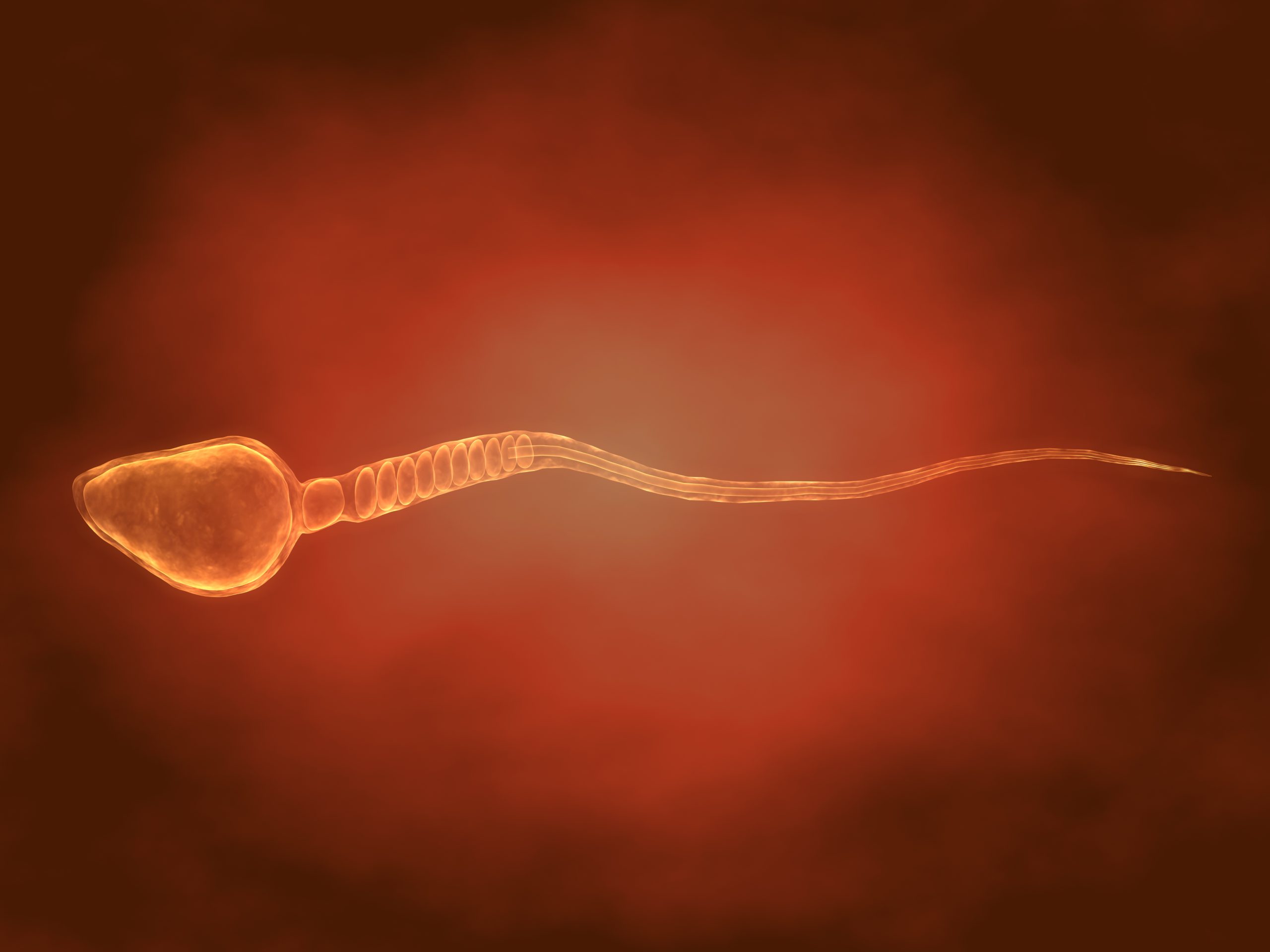 O que o esperma diz sobre a saúde de um homem