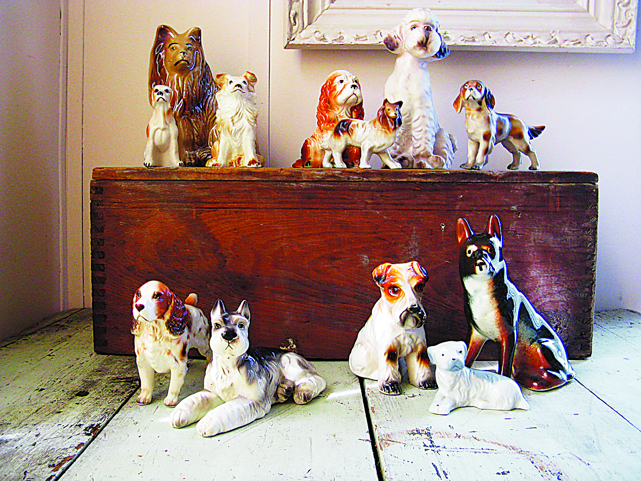 Do cante aos animais de loiça