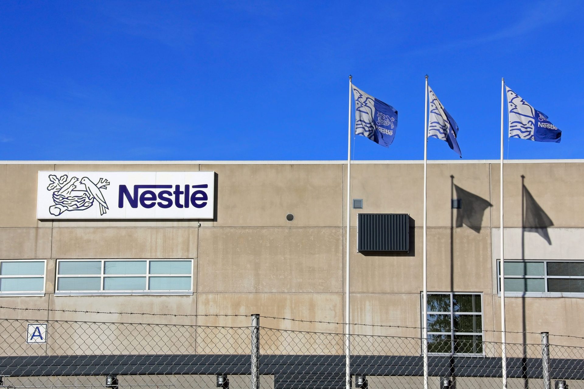 Nestlé vai criar trabalho para jovens em Portugal