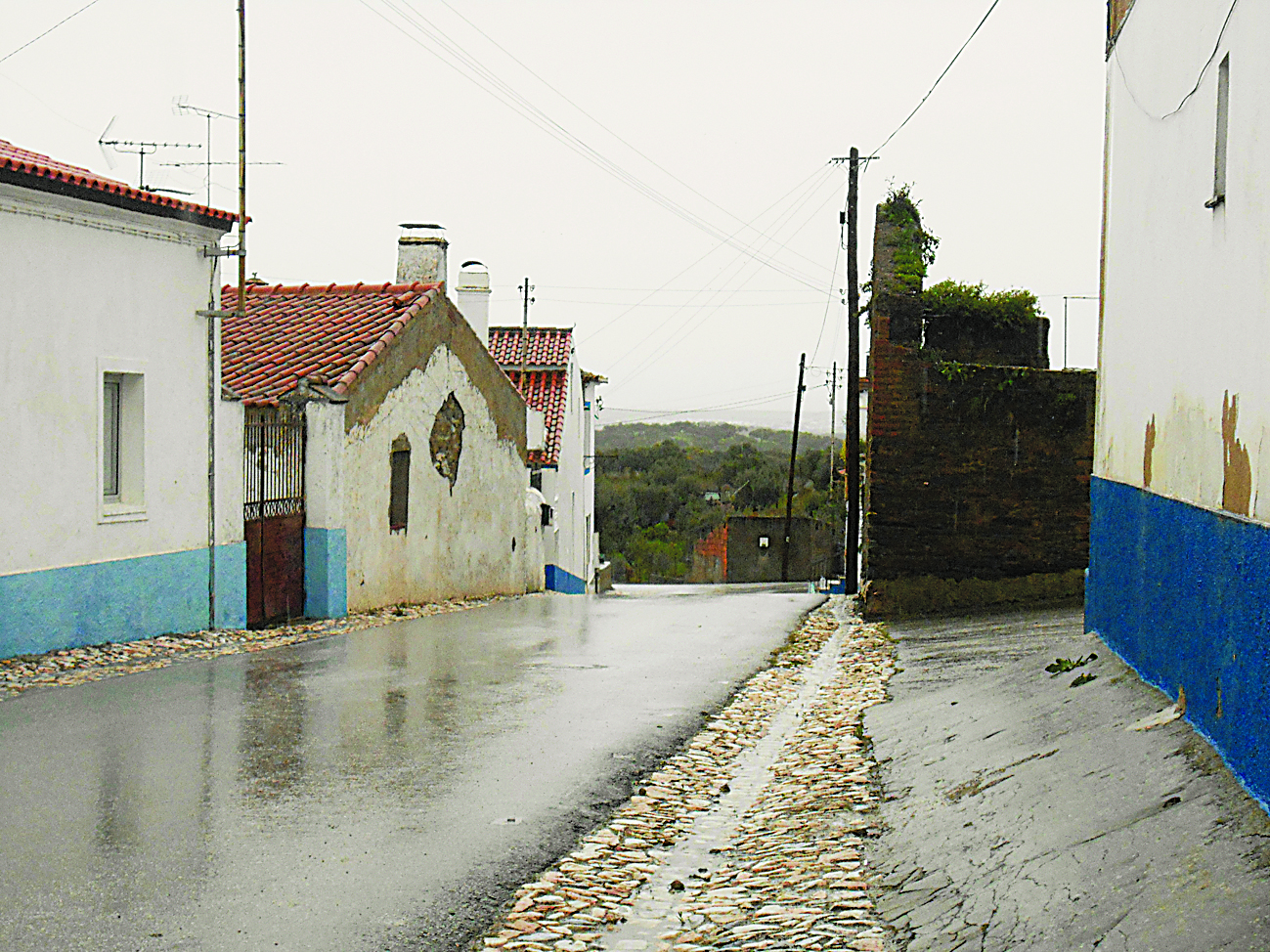 Sobreviver no Inverno