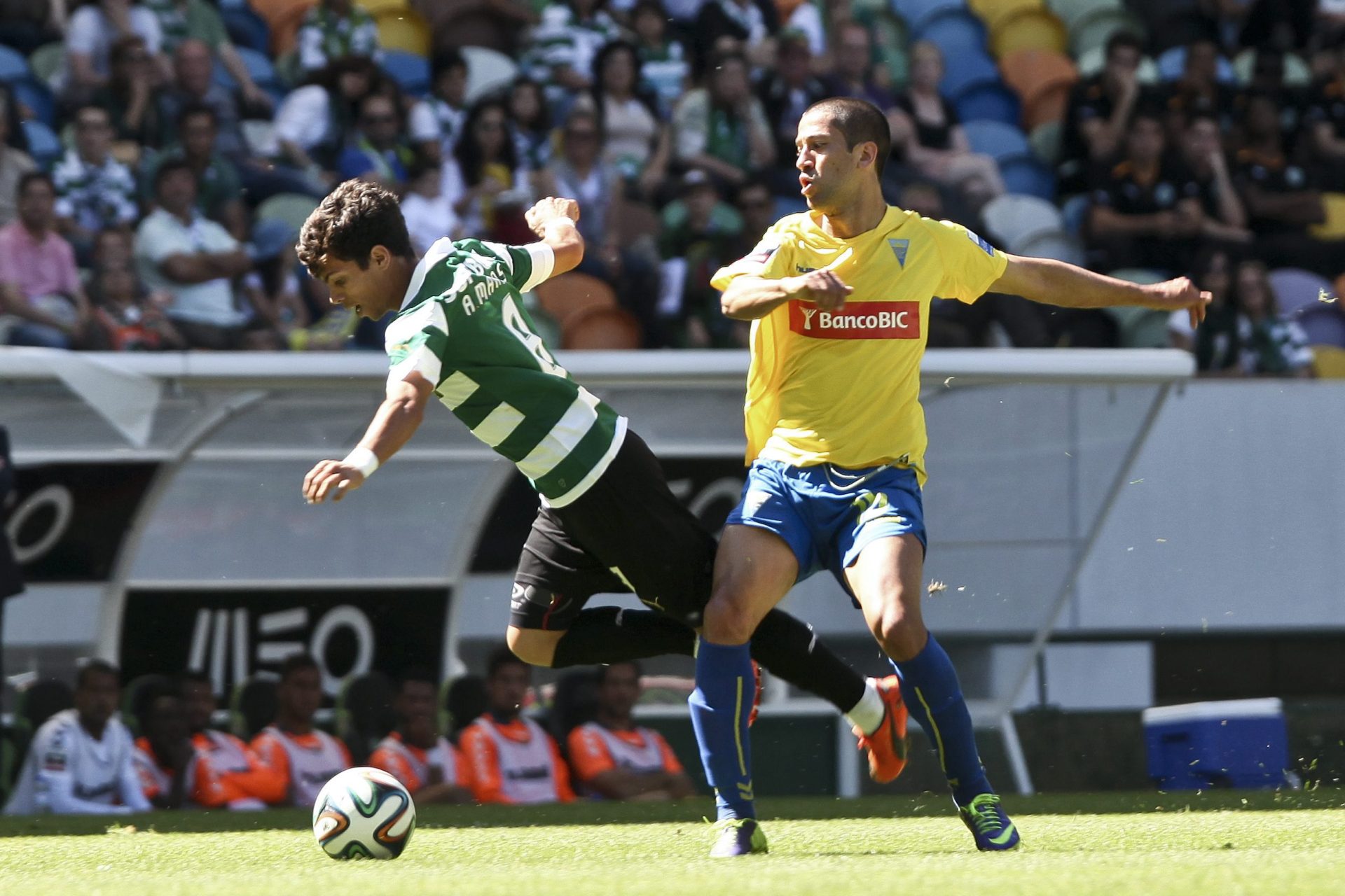 Sporting acaba Liga com primeira derrota em casa