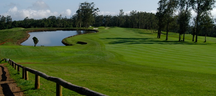 Open da Madeira em golfe arranca quinta-feira