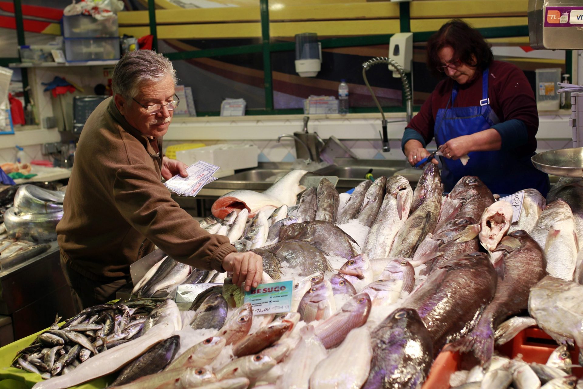 Consumo mundial de peixe duplicou nas últimas décadas