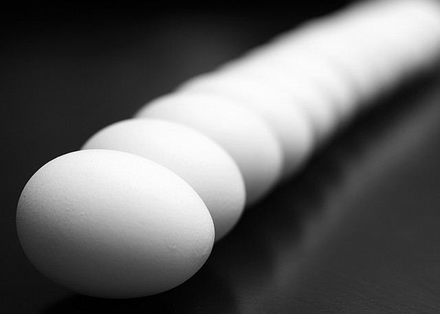 Escultor em casca de ovo ganha fama fora de Portugal