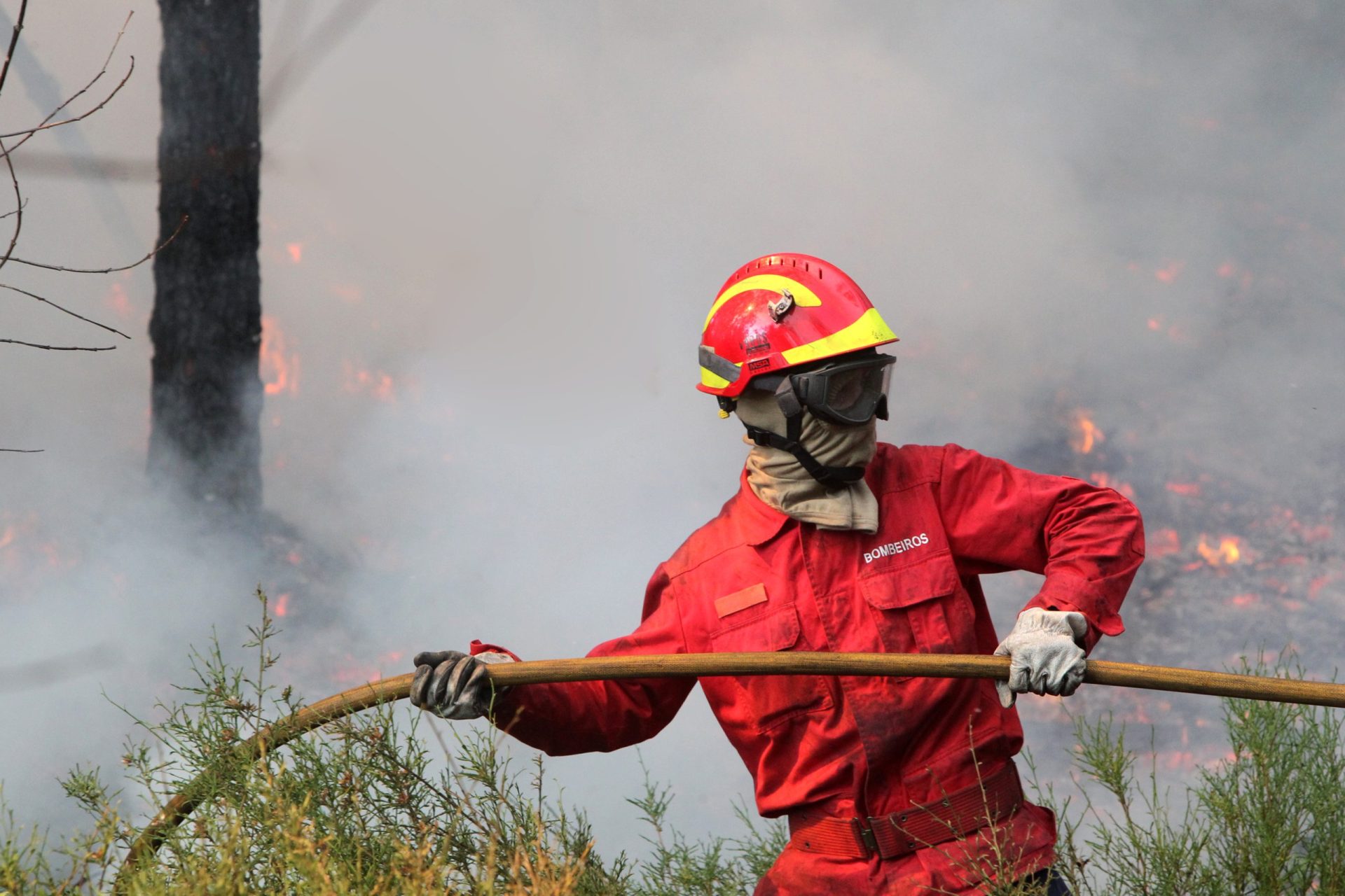 Mais de 60 bombeiros combatem chamas em Ferreira do Zêzere
