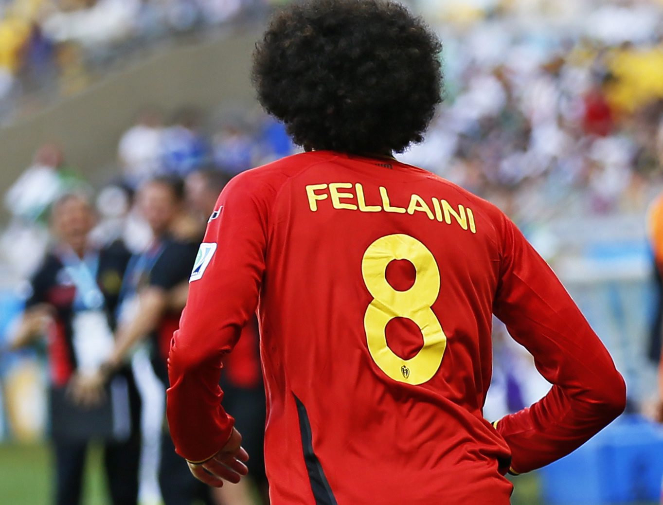 A Bélgica saiu do cabelão de Fellaini