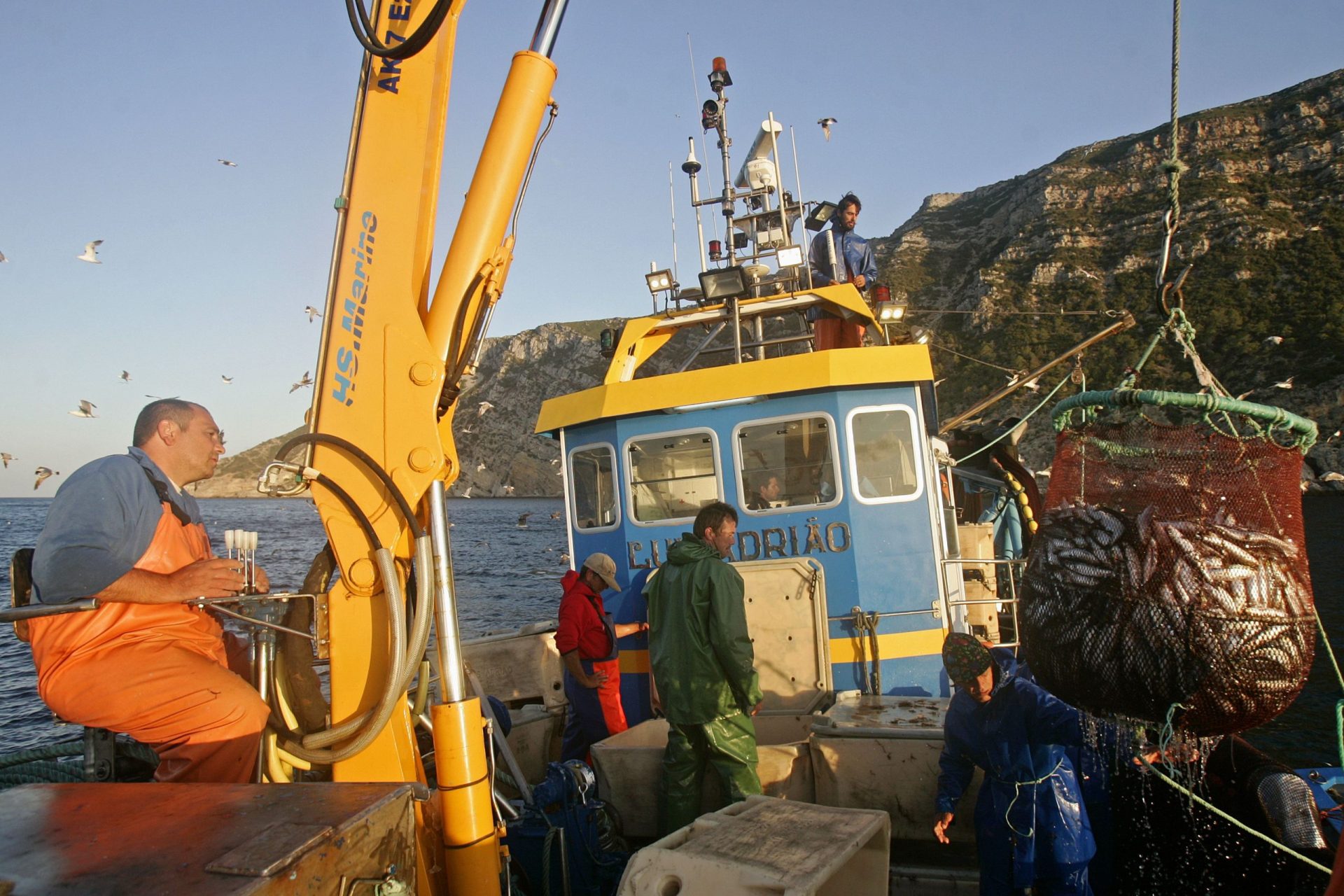 Ambiente contra pesca de arrasto