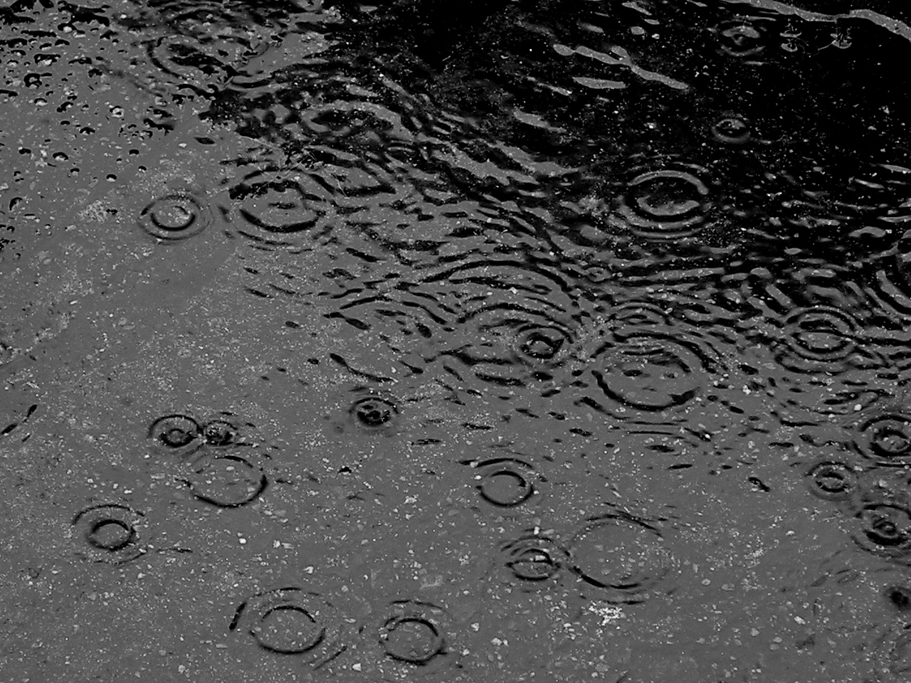 Seis pessoas desalojadas devido a chuva forte que caiu no Barreiro