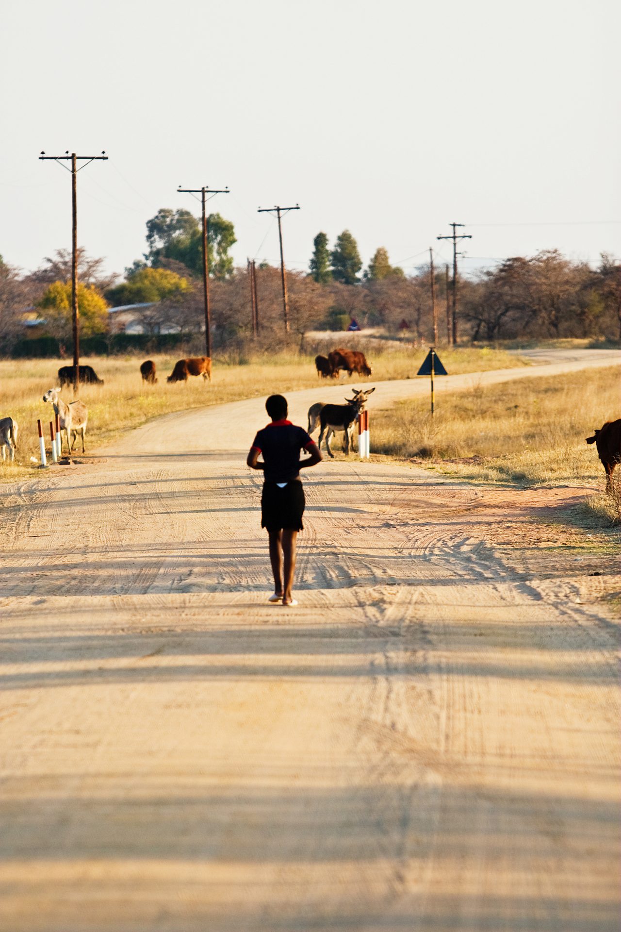 Duas em cada cinco crianças viverão em África em 2050