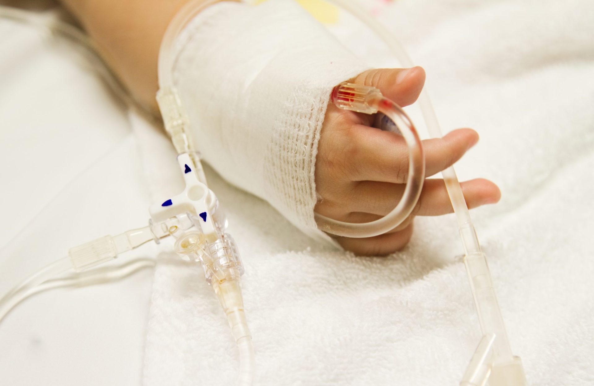 Cientistas portugueses marcam pontos contra a leucemia infantil