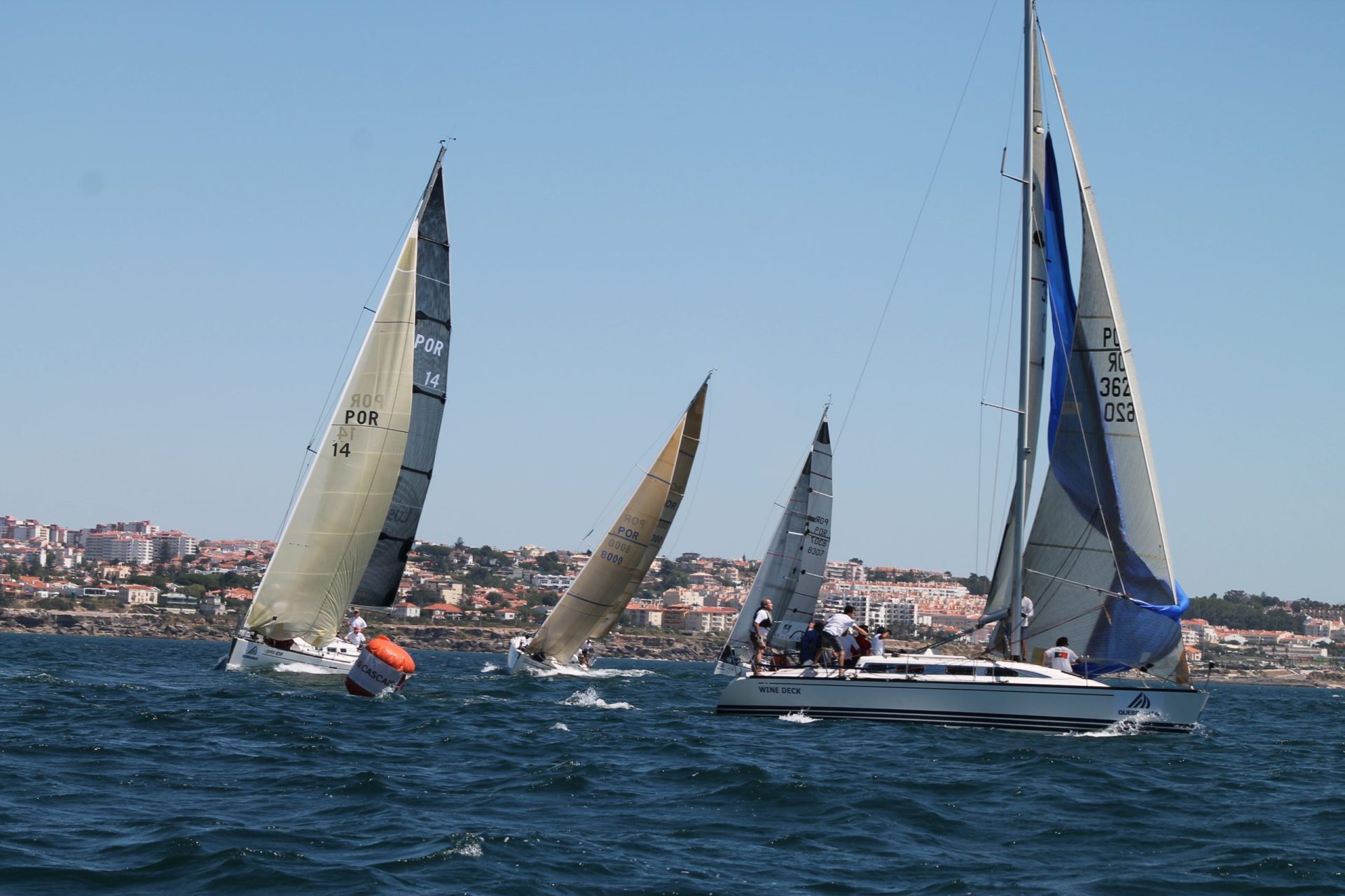 Cascais Vela 2014