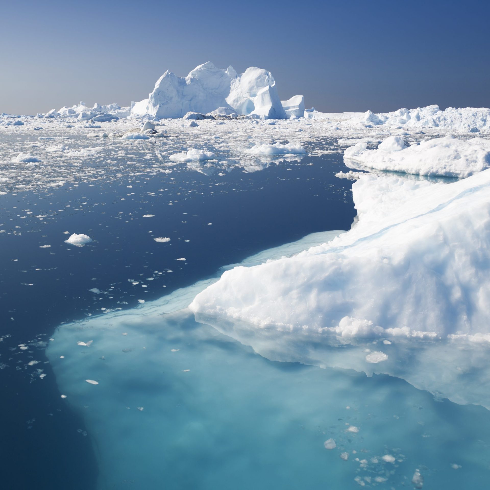 Cientistas alertam para intervenção urgente na Antárctida