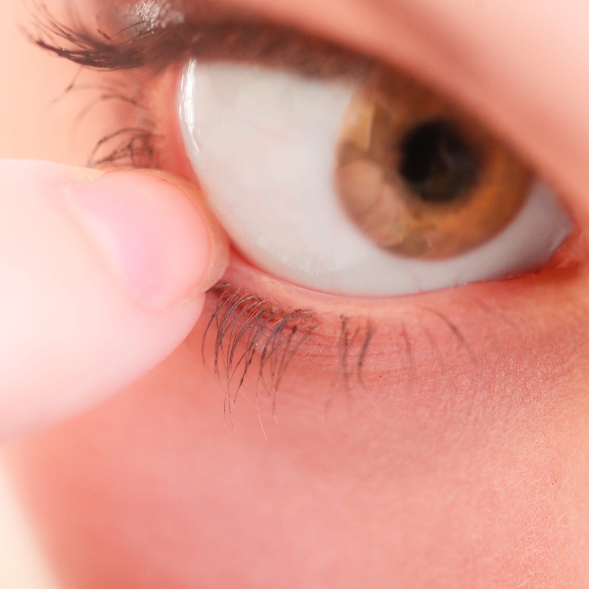 Prémio Champalimaud Visão distingue cientistas no tratamento de doenças da retina