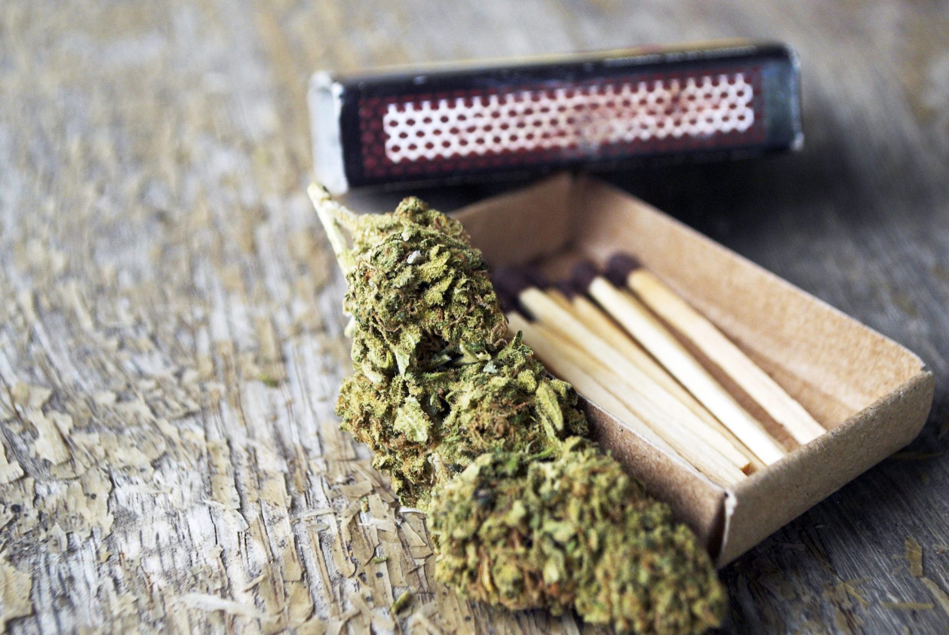 Estudantes produziam cannabis em casa