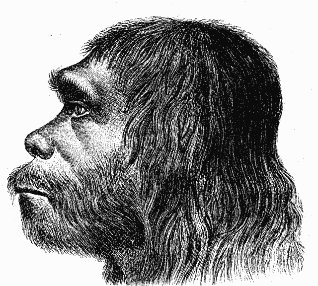 O Neandertal já era artista