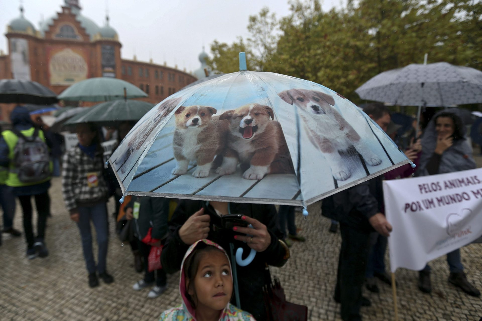 Cerca de 300 pessoas juntam-se em Lisboa pela defesa dos animais