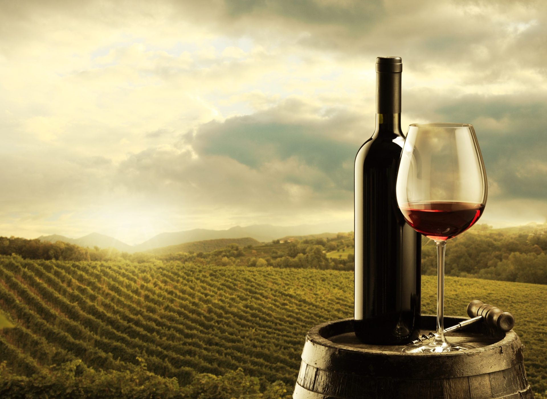 Dois vinhos portugueses entre os sete melhores do mundo