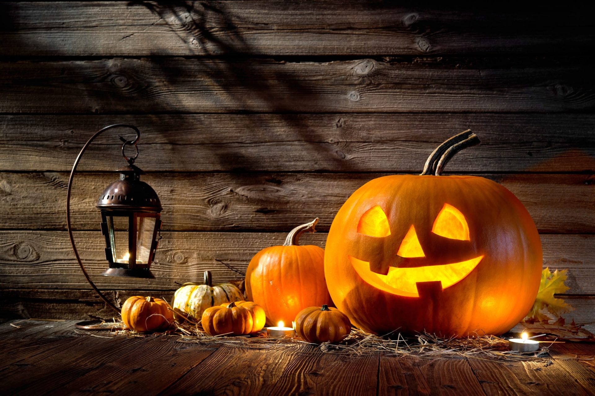 EUA: Vizinhos confundem cadáver com decoração de Halloween