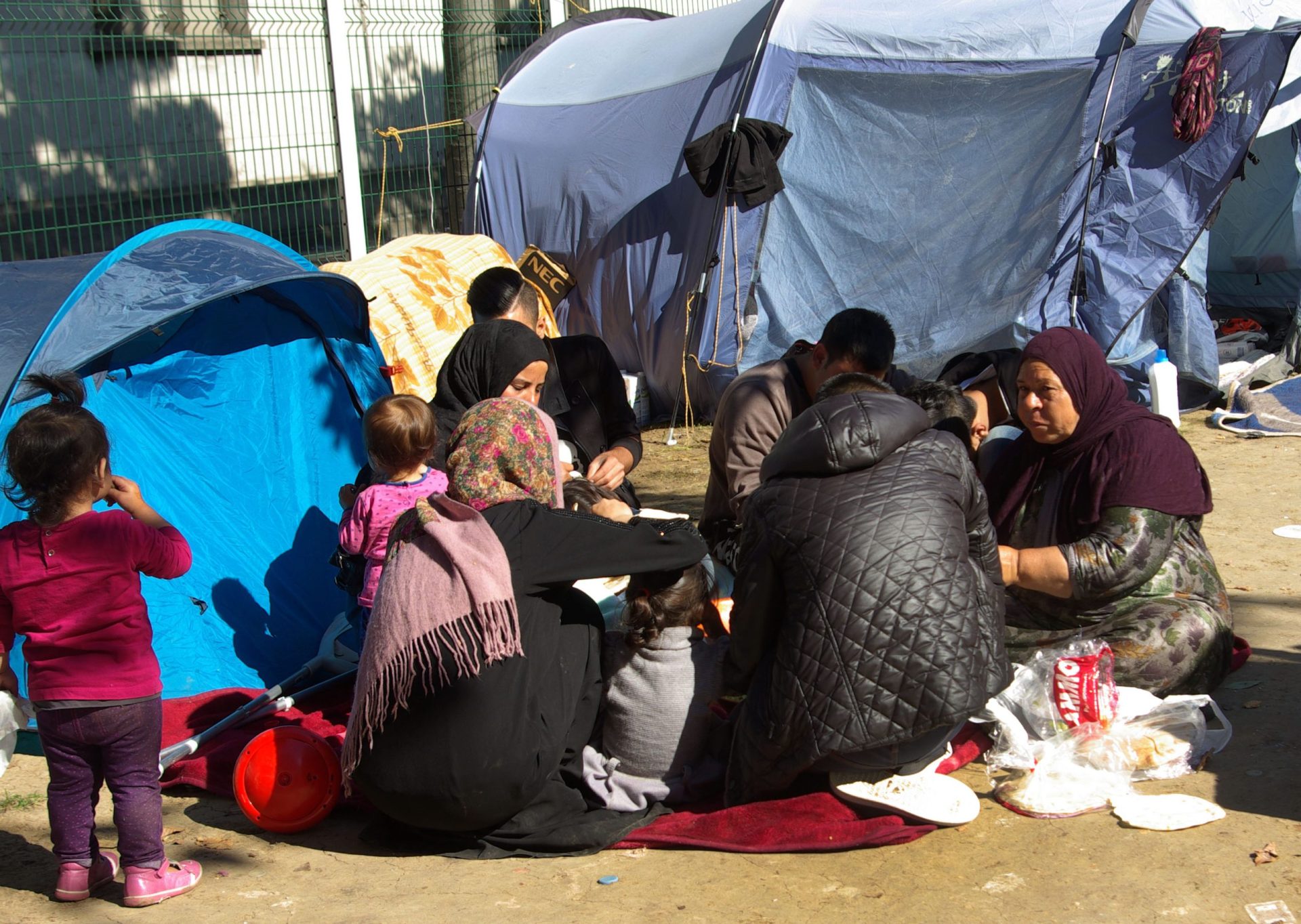 Catorze migrantes encontrados num camião frigorífico em Calais
