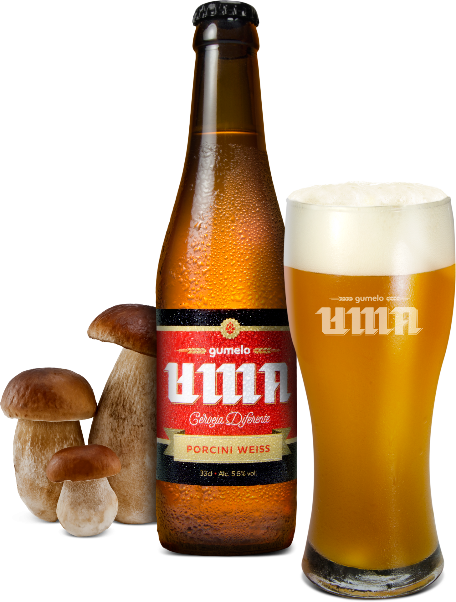 Empresa portuguesa cria cerveja de cogumelos