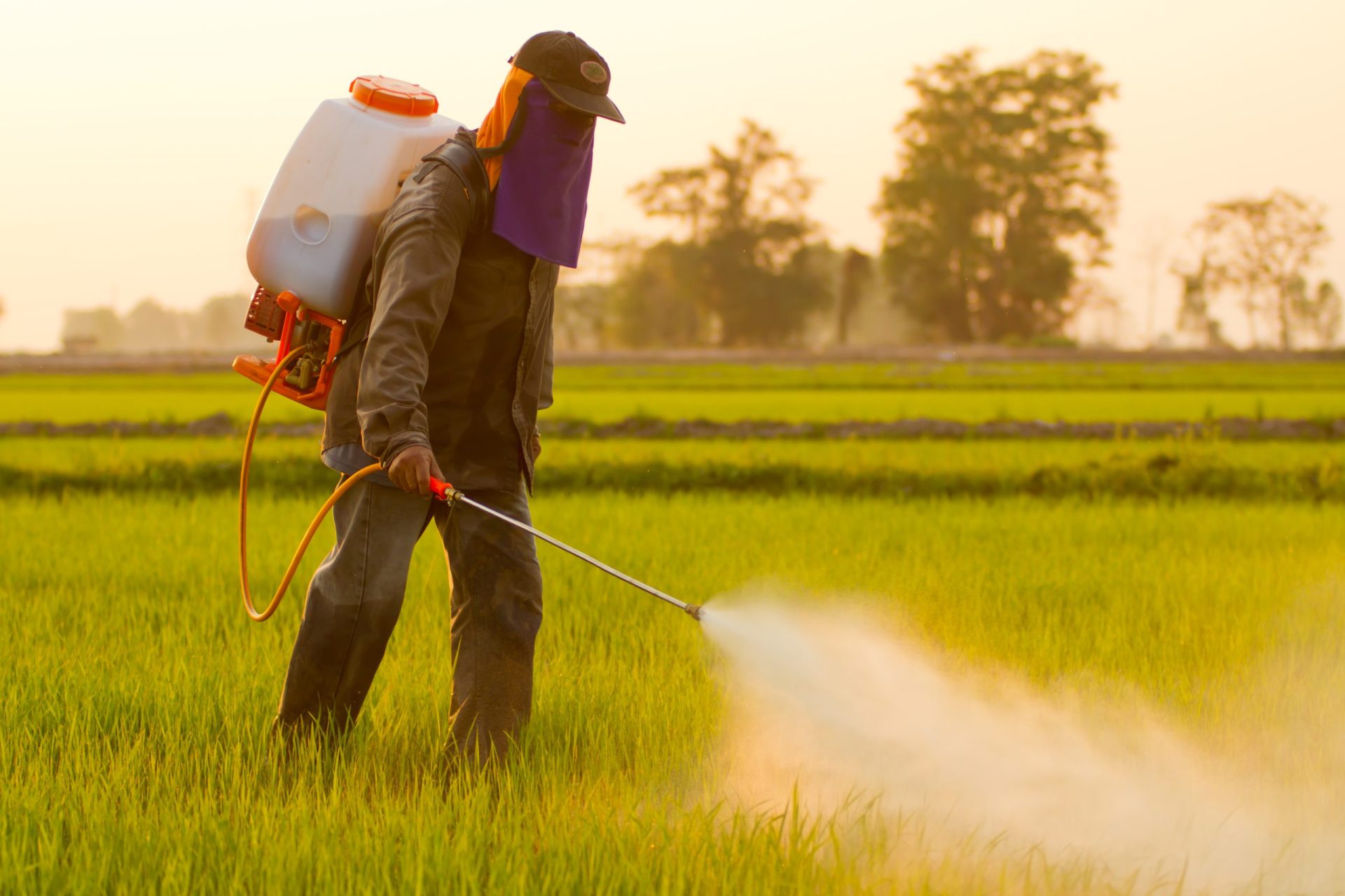 ASAE apreendeu herbicidas falsificados em autarquias locais