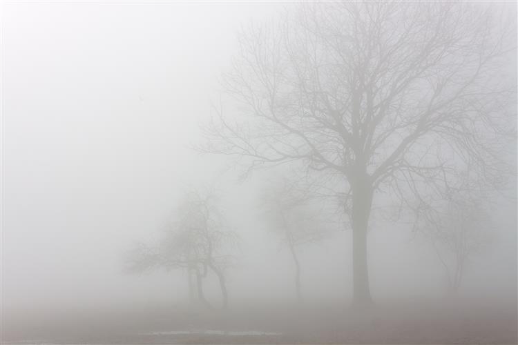Nevoeiro deixa dois distritos sob aviso laranja