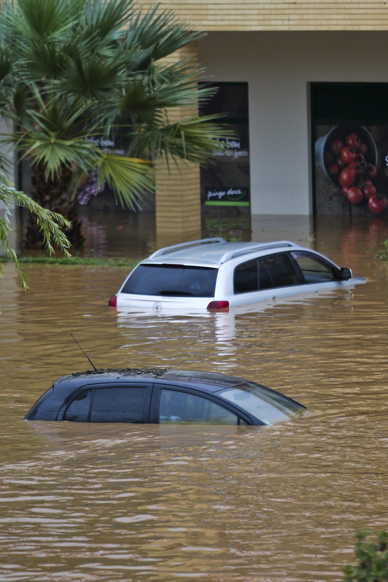 Inundações no Algarve: Retomadas buscas por homem desasparecido em Boliqueime