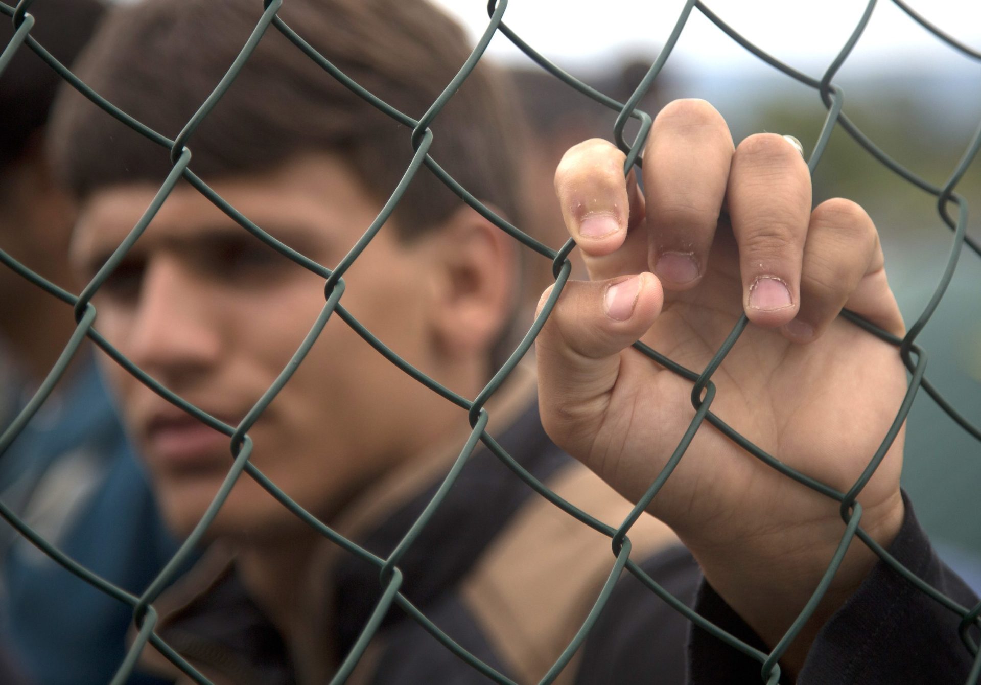 Diretor do SEF diz que refugiados não querem viajar para Portugal