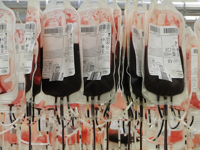 França acaba com proibição de doação de sangue por homossexuais