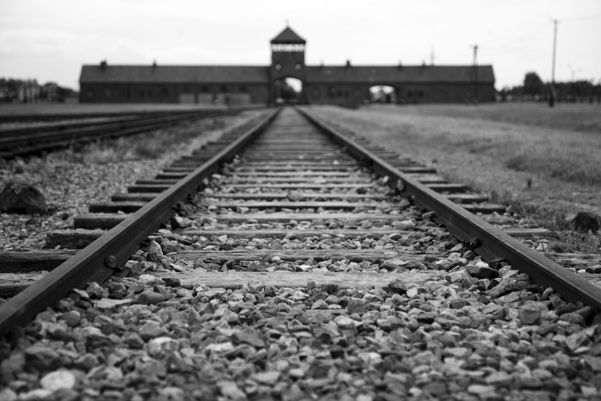Lembrar o Holocausto é recusar &#8216;ódio, discriminação e racismo&#8217;