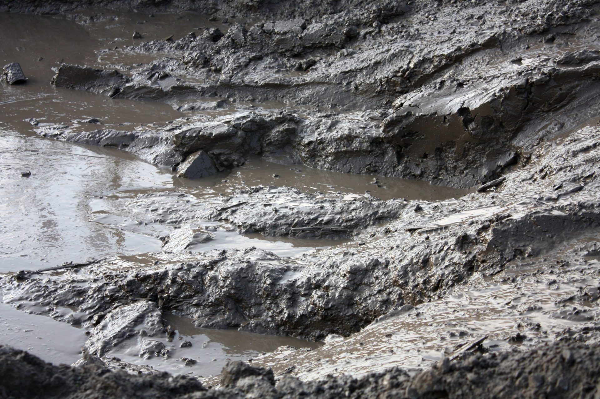 Mais de 7 mil toneladas de lama acumuladas em Torres Novas