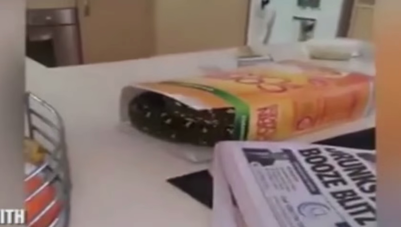 Homem encontra cobra dentro de caixa de cereais