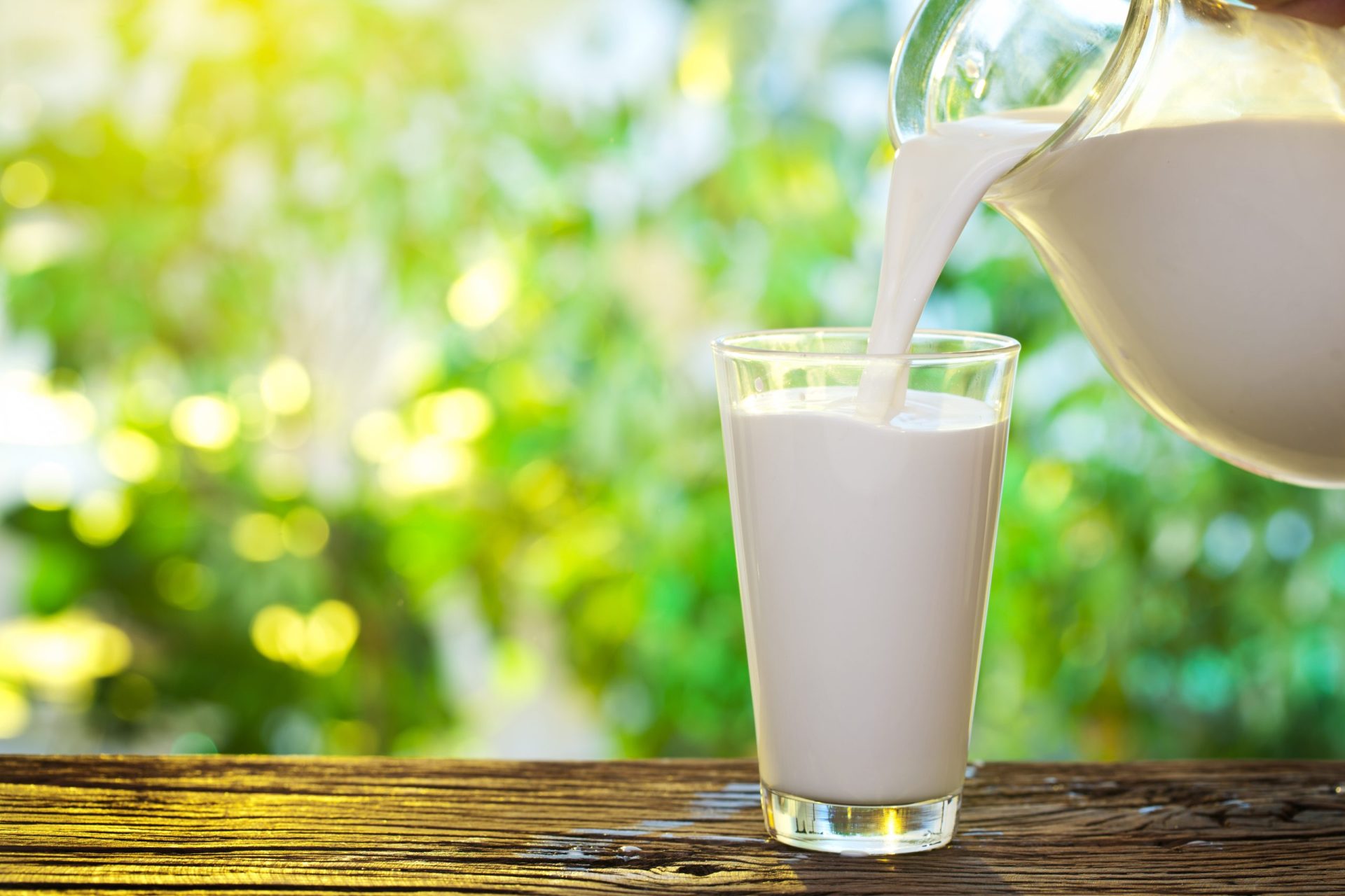 Produtores oferecem 1500 litros de leite à população