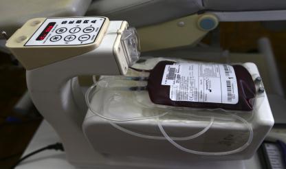 Hospital São João do Porto aproveita o plasma sanguíneo que antes ia para o lixo