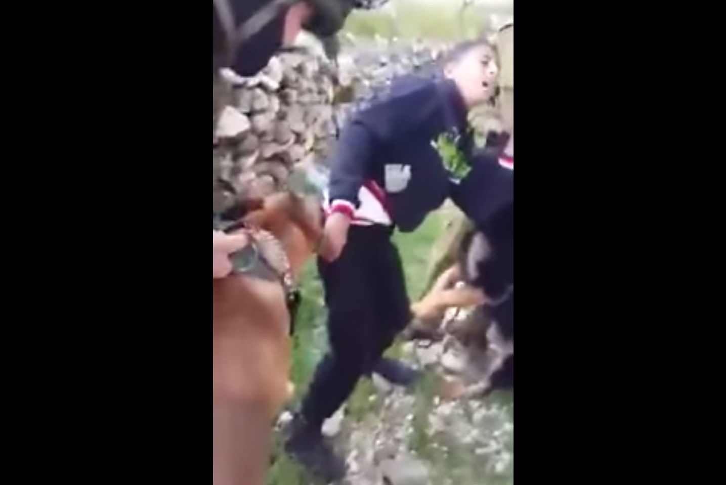 Israelitas atiçam cães contra palestiniano de 16 anos [VÍDEO]