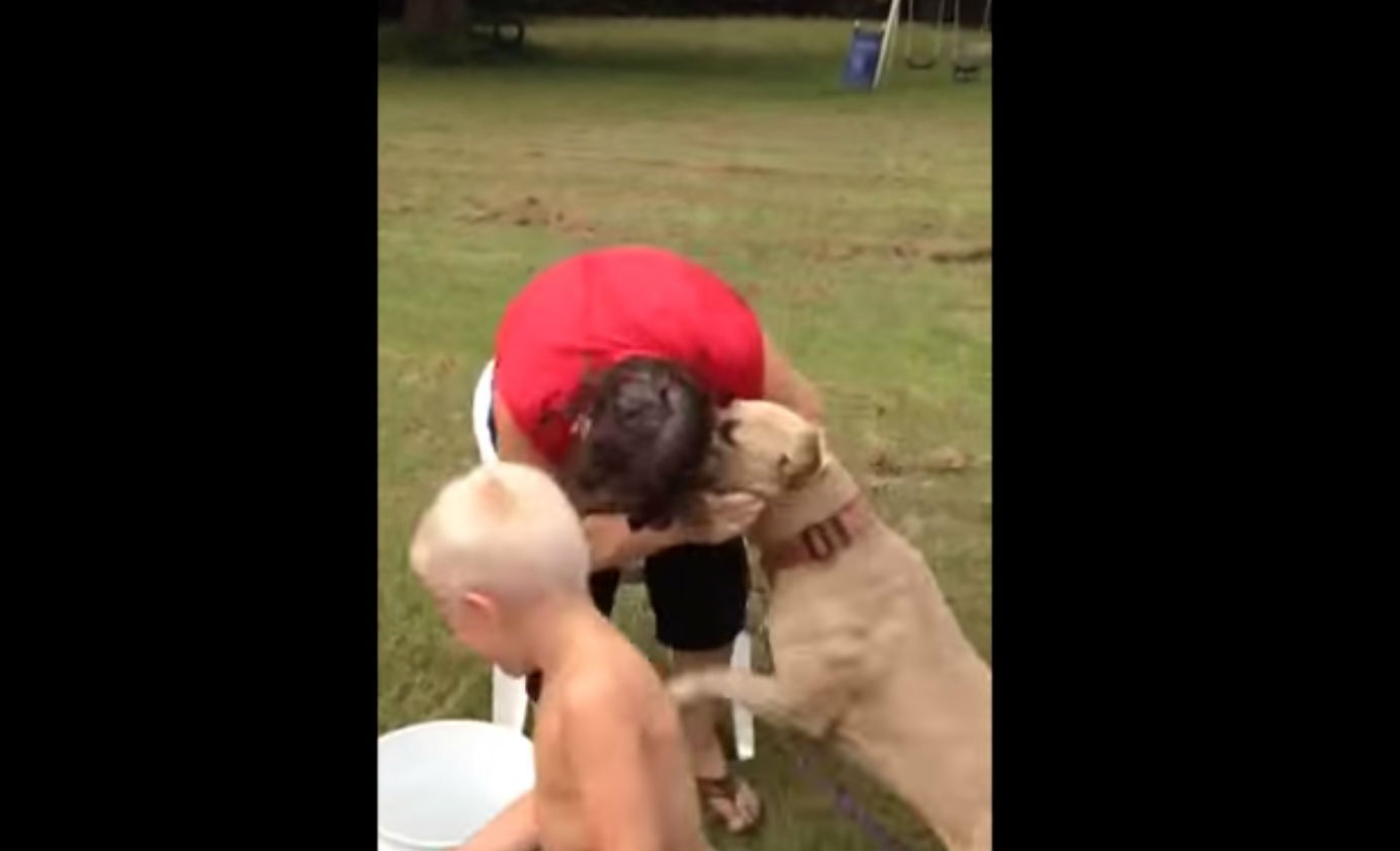 Idosa atacada por pitbull durante Ice Bucket Challenge