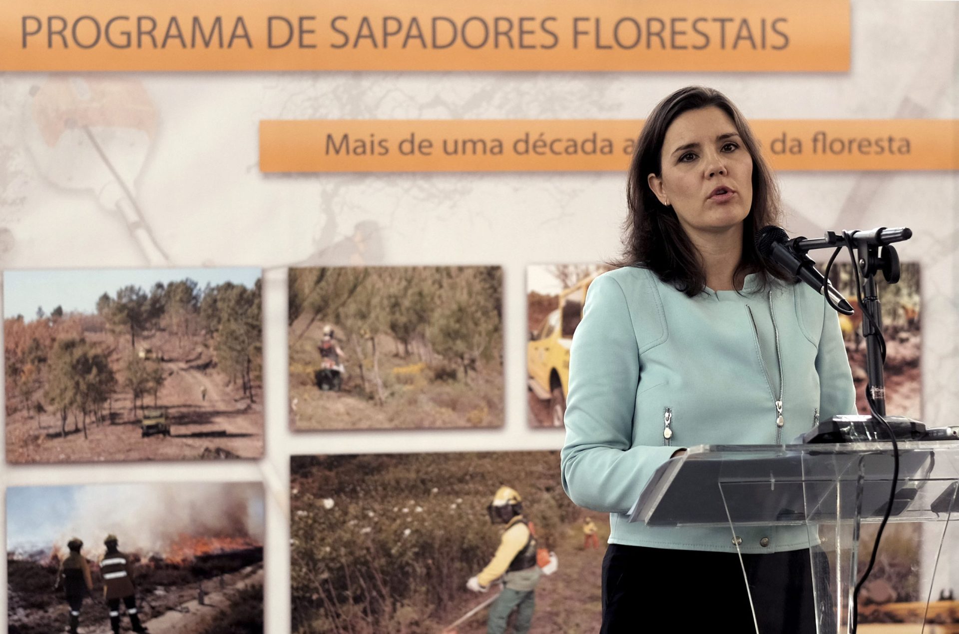 Assunção Cristas: Portugal ‘está melhor’ quanto à limpeza de matas