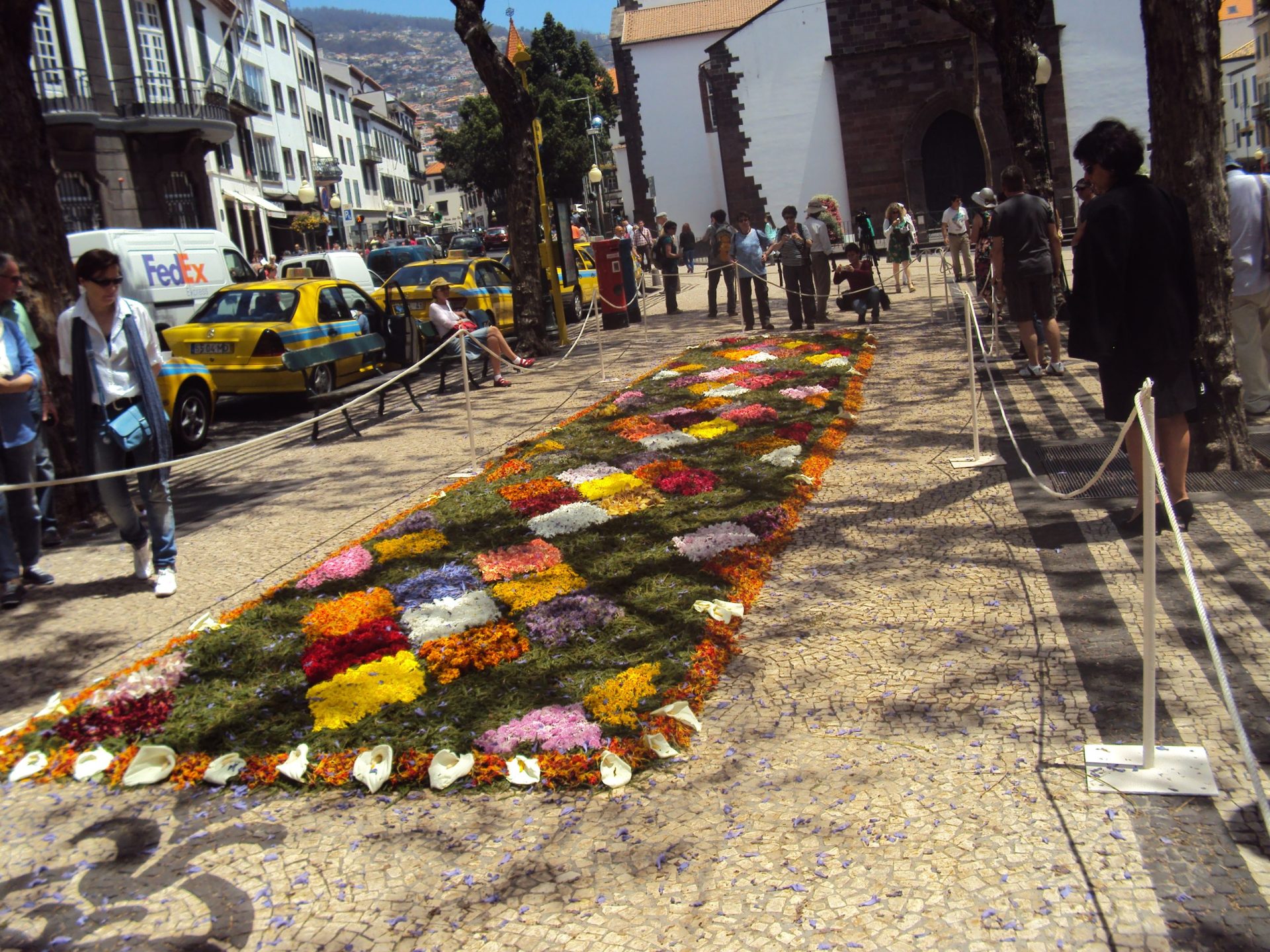 Madeira investe 315 mil euros na ‘Festa da Flor’