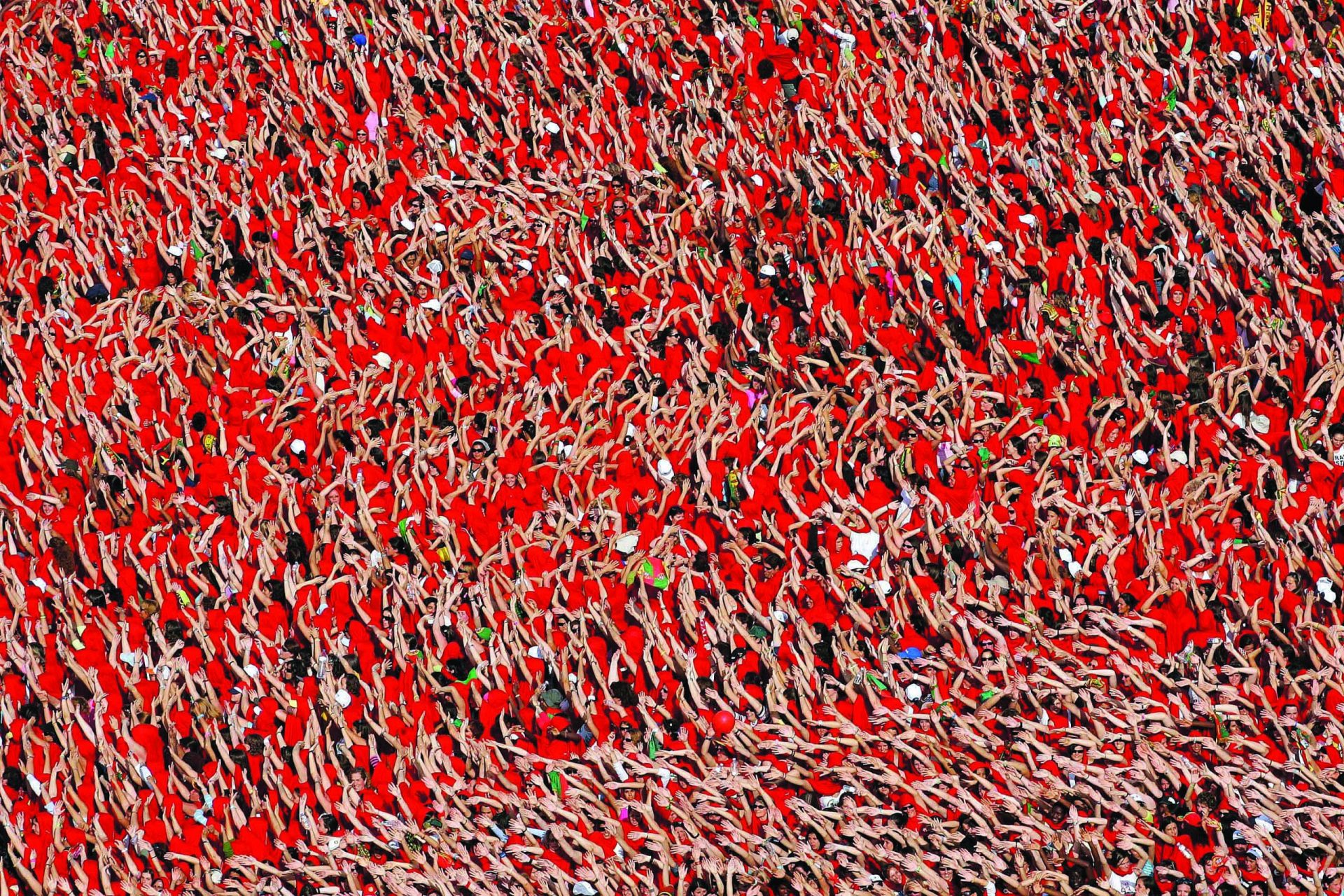 Adeptos do Benfica causam desacatos na Luz