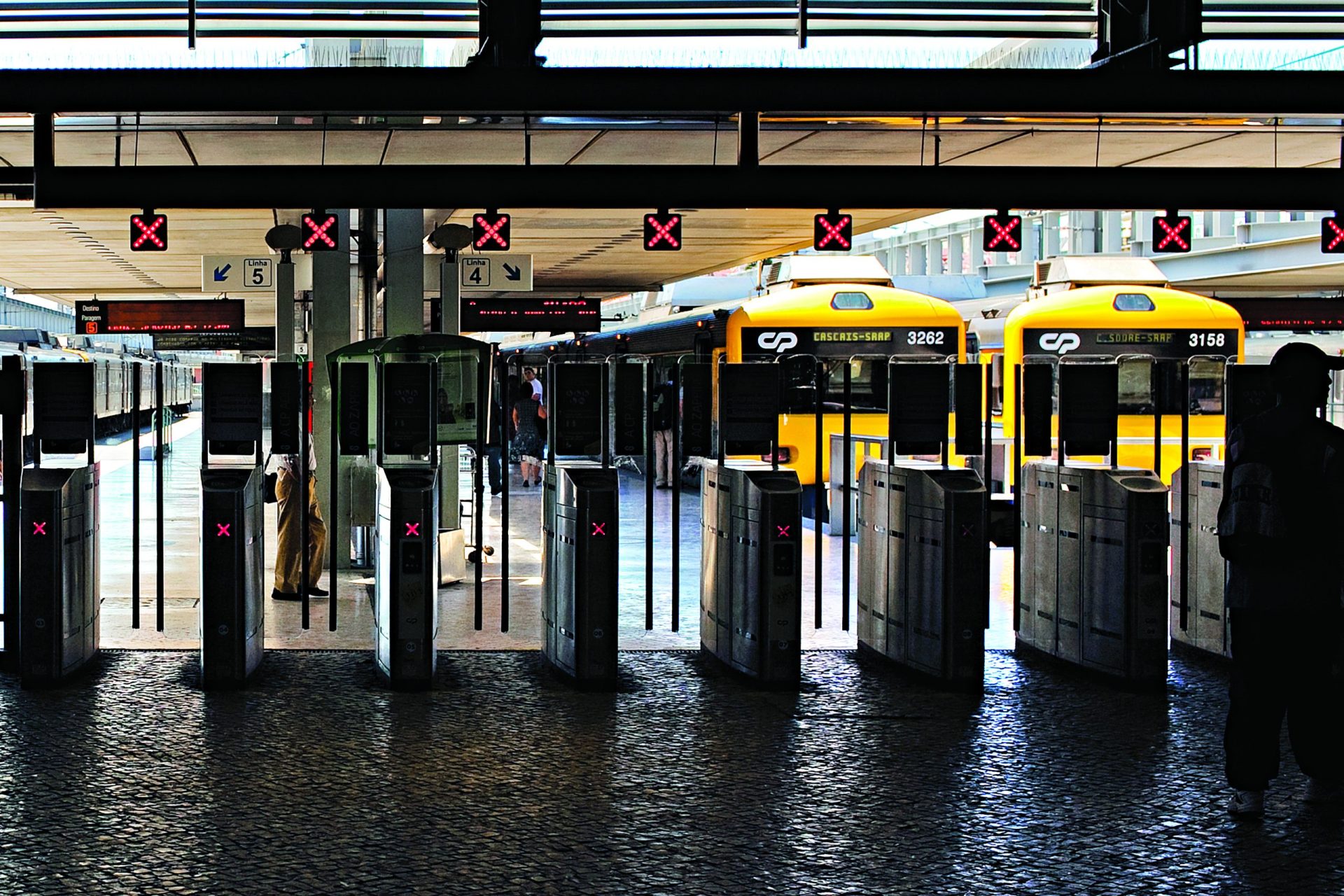 Regalias nos transportes e os nossos impostos