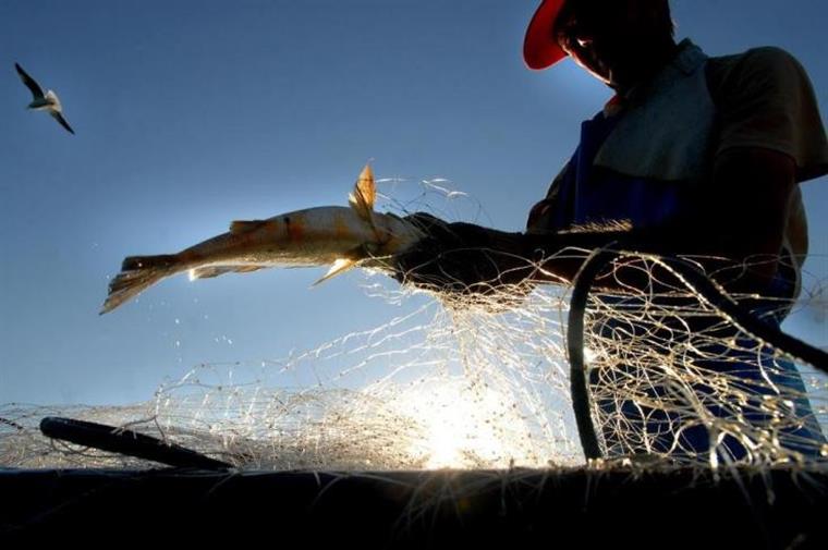 Pescador engole peixe sem querer e quase sufocou