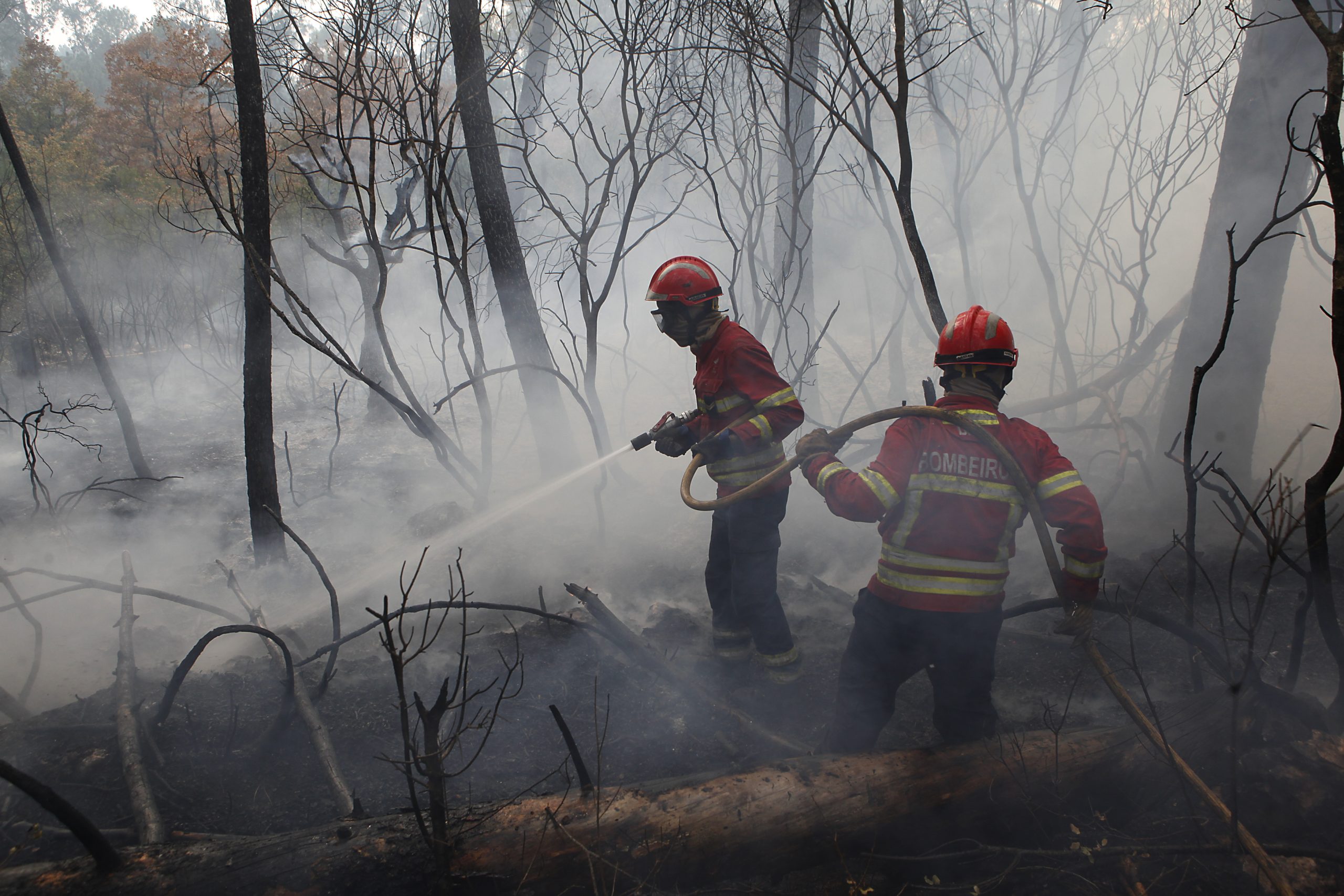 As imagens das chamas que estão a &#8216;consumir&#8217; Portugal  [Fotogaleria]