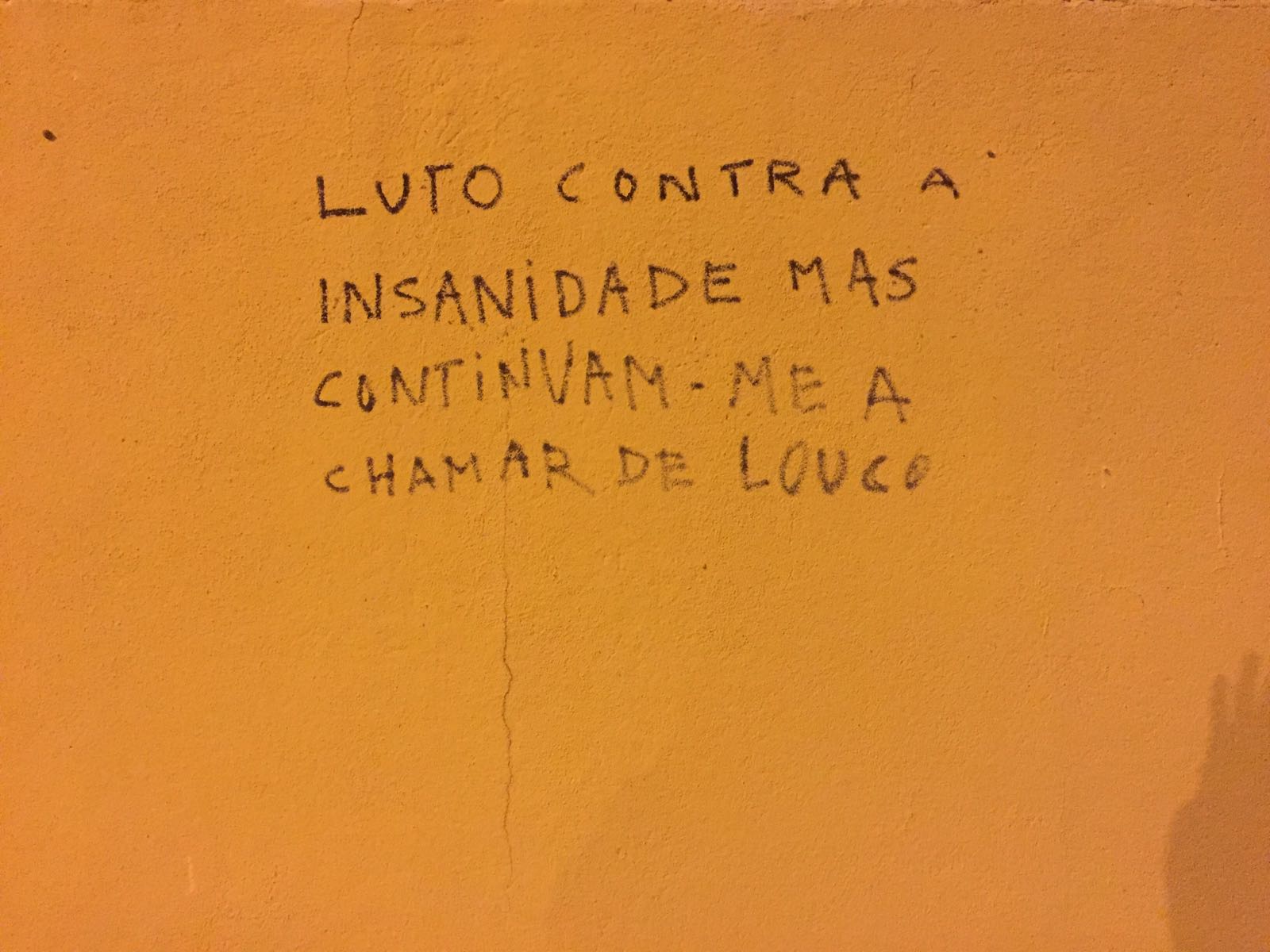 «Luto contra a insanidade mas continuam-me a chamar de louco»