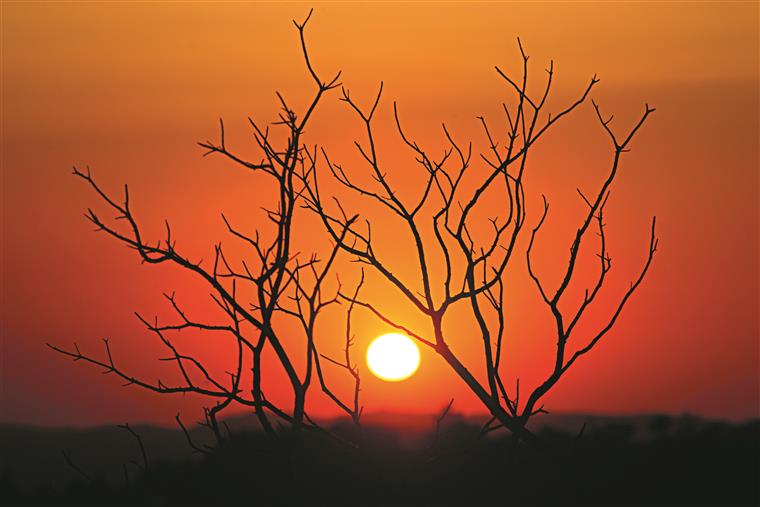 Calor vai continuar até (pelo menos) domingo