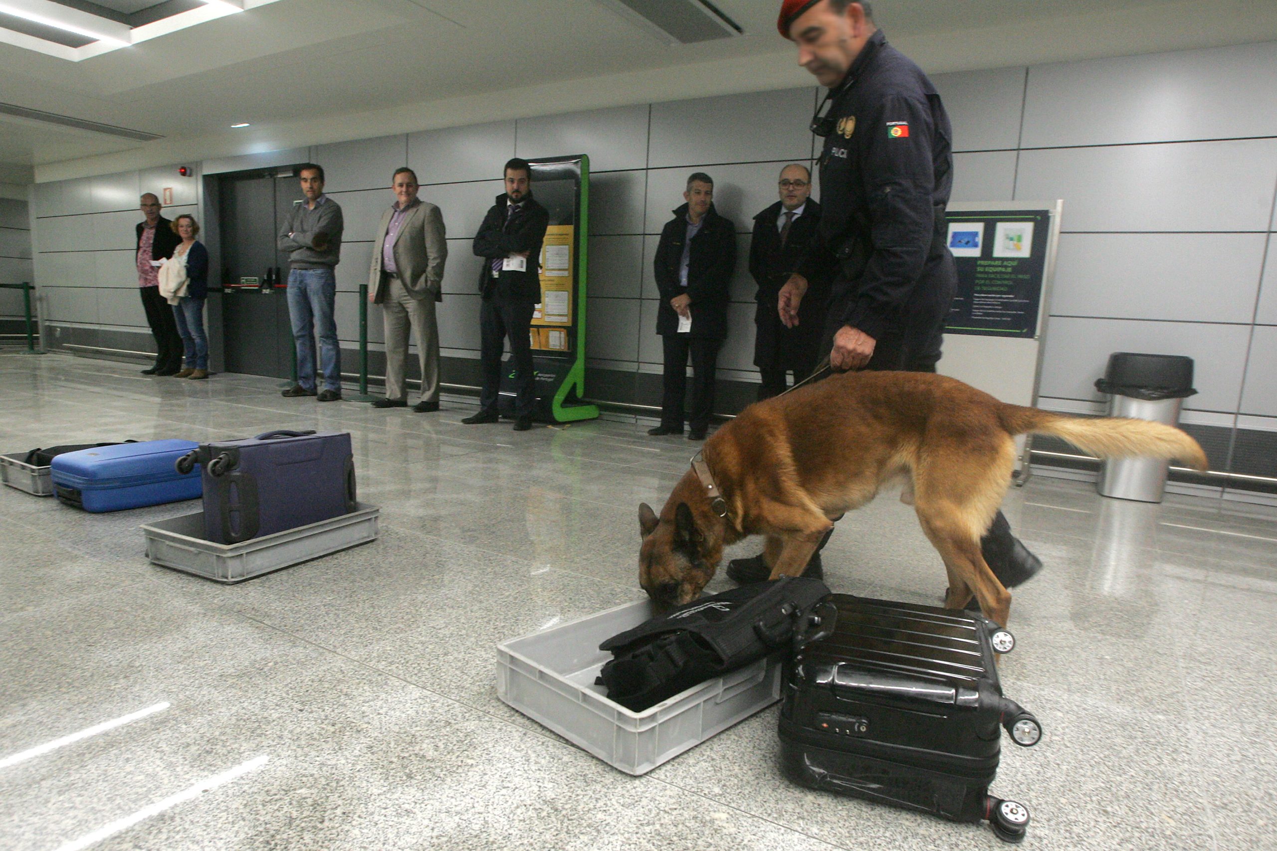 Polícia ‘aluga’ cães a 75 euros por dia